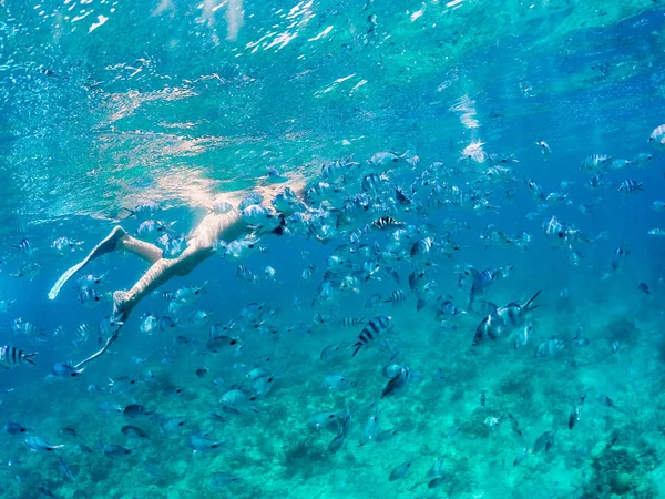 Junge Frau schwimmt unter Wasser — Stockfoto