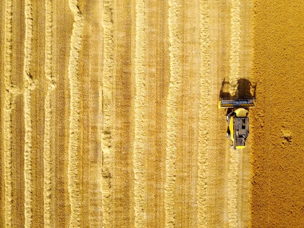 수확 밀 필드 결합 — 스톡 사진