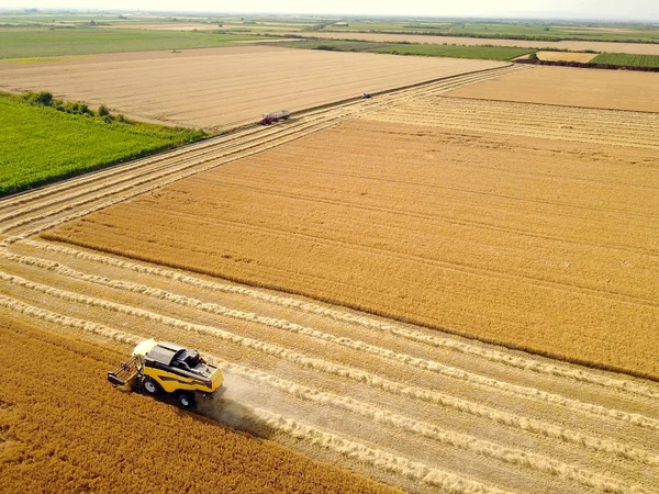 Combina raccolta campo di grano — Foto Stock