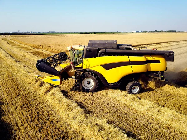 Combina raccolta campo di grano — Foto Stock