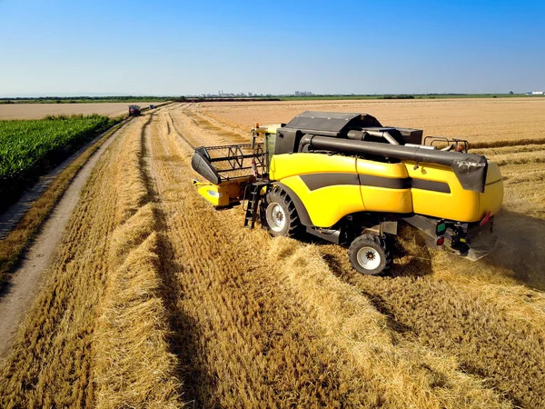 Combine harvesting wheat field — Stock Photo, Image