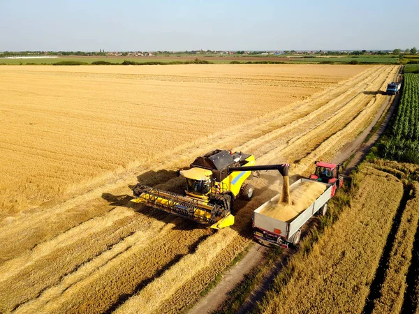 Combine harvesting wheat field — Stock Photo, Image