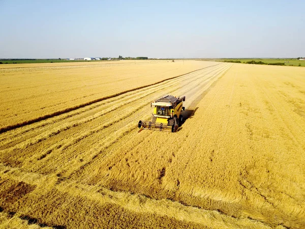 Colheitadeira que trabalha no campo de trigo — Fotografia de Stock