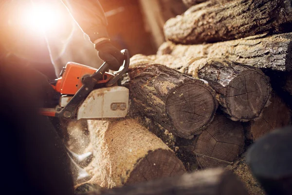 Dřevorubec řezání dřeva — Stock fotografie