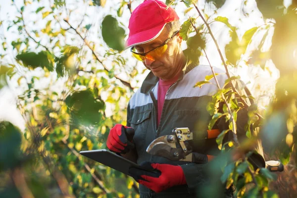 senior farmer with tablet pc