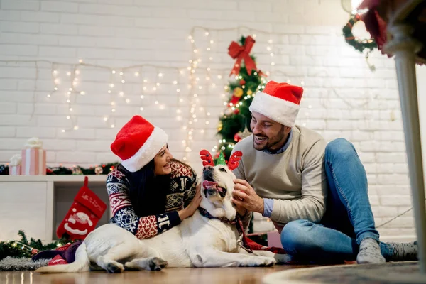 Пара празднующих Рождество с собакой — стоковое фото