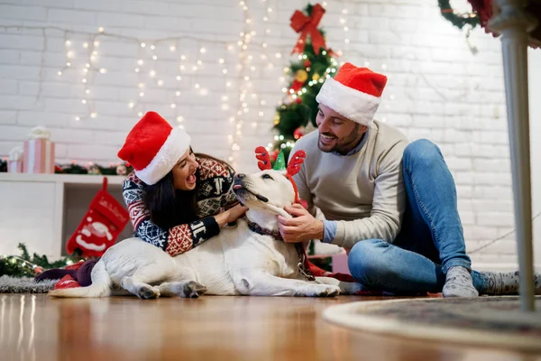 Casal celebrando o Natal com o cão — Fotografia de Stock