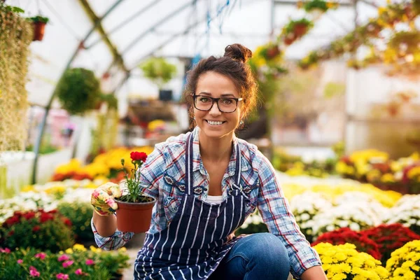 Kvinnlig trädgårdsmästare i växthus — Stockfoto