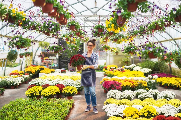 Vrouwelijke tuinman in kas — Stockfoto