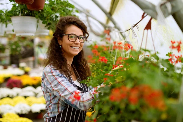 Mooie Jonge Vrouwelijke Professionele Tuinman Poseren Moderne Kas — Stockfoto