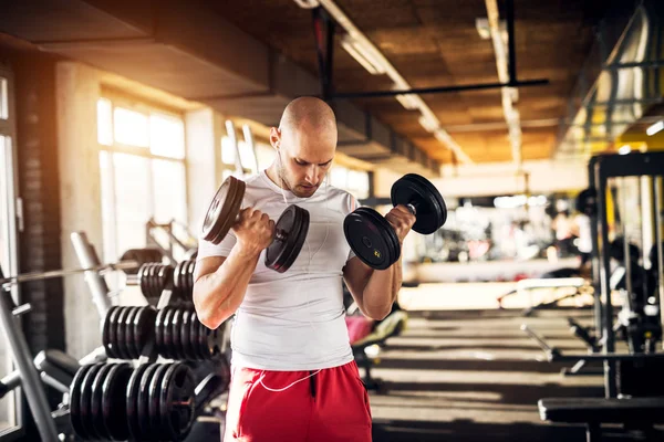 Homem Musculoso Forte Exercitando Com Halteres Ginásio — Fotografia de Stock