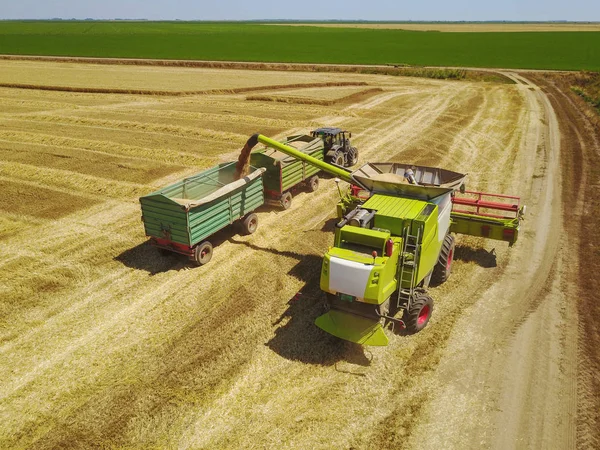 Ammatillinen Yhdistää Harvesteri Kaatamalla Korjattu Vehnä Viljaa Säiliöön Traktorin Perävaunun — kuvapankkivalokuva