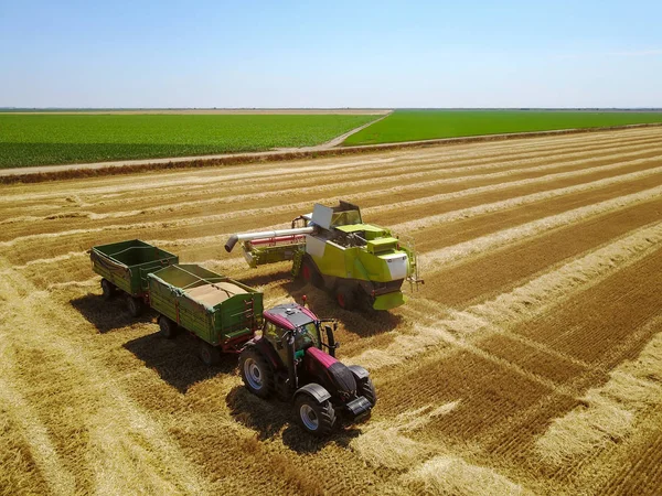专业联合收割机把收获的小麦粒灌入拖拉机拖车场 — 图库照片