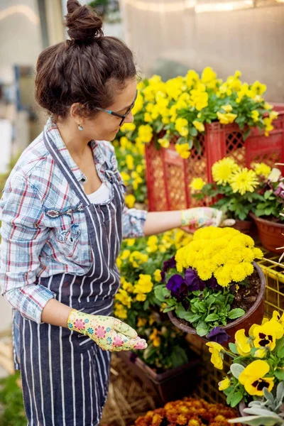 Hermosa Joven Jardinero Profesional Femenino Trabajando Invernadero Moderno — Foto de Stock