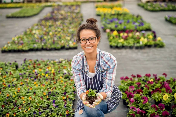 Szép Fiatal Női Profi Kertész Üvegházhatású Modern Ültetvényanyagain Virágok — Stock Fotó