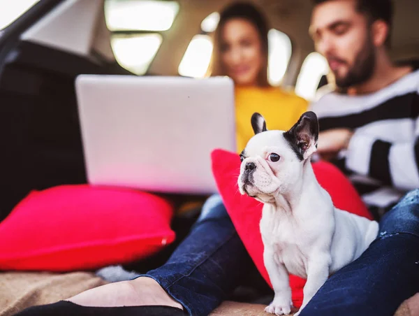 Junges Glückliches Liebespaar Reist Mit Welpe Auto Und Nutzt Laptop — Stockfoto