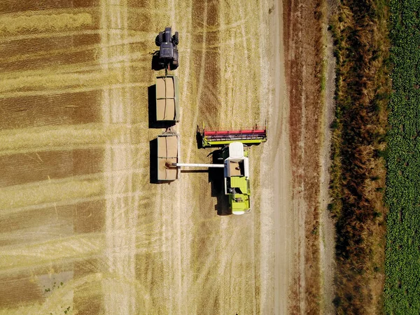 필드에서 Tractor Trailer의 탱크에 수확된 수확기를 — 스톡 사진