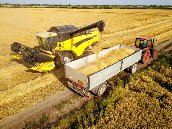 Combine Harvester Pouring Tractor Trailer Grain Harvesting — Stock Photo, Image