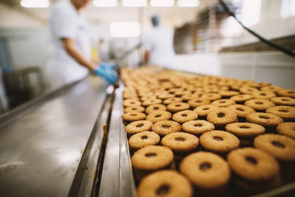 Processo Produção Cookies Fábrica Indústria Alimentos Muitos Biscoitos Bandeja — Fotografia de Stock