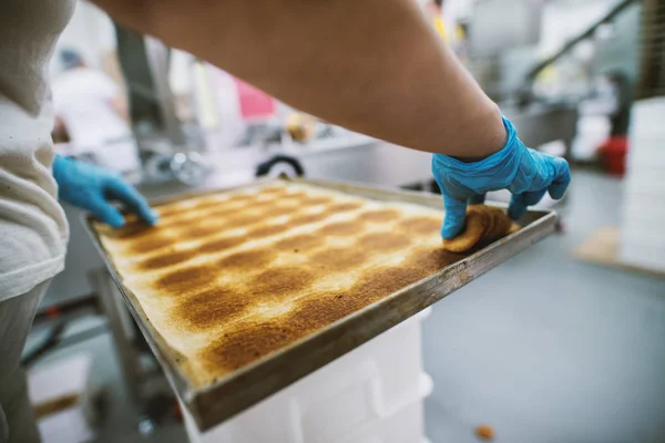 Pliki Cookie Proces Produkcji Fabryce Przemysł Spożywczy Kobieta Rękawice Biorąc — Zdjęcie stockowe