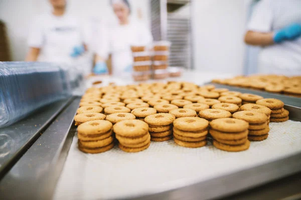 Cookies Produktionsprocessen Fabriken Och Livsmedelsindustrin Många Kakor Bricka — Stockfoto