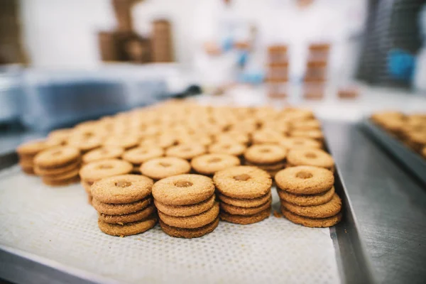 Pliki Cookie Proces Produkcji Fabryce Przemysł Spożywczy — Zdjęcie stockowe