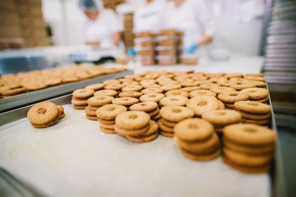 Proses Produksi Kue Pabrik Industri Makanan Banyak Kue Atas Nampan — Stok Foto