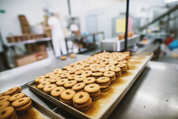 Processo Produção Cookies Fábrica Indústria Alimentos Muitos Biscoitos Bandeja — Fotografia de Stock