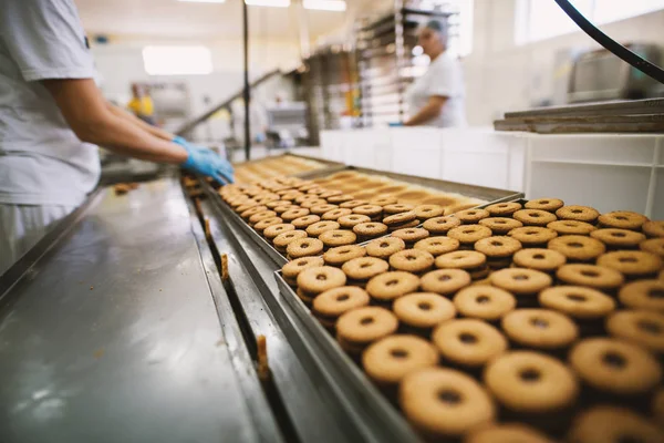 Processus Production Biscuits Usine Industrie Alimentaire Nombreux Cookies Sur Plateau Images De Stock Libres De Droits