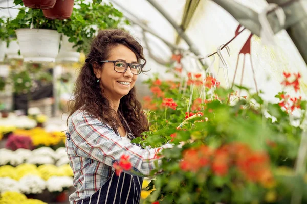 Hermosa Joven Mujer Jardinero Profesional Plantación Flores Invernadero Moderno — Foto de Stock
