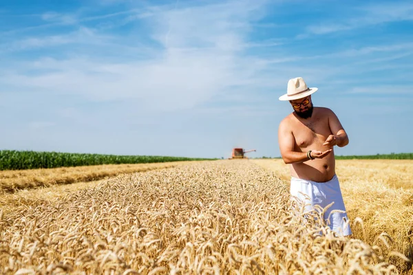 Homem Sem Camisa Com Óculos Sol Chapéu Campo Trigo — Fotografia de Stock