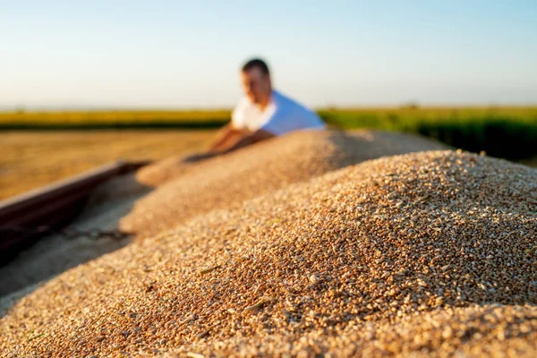 Weizen Traktoranhänger Bei Der Ernte Und Jungbauer Dahinter — Stockfoto