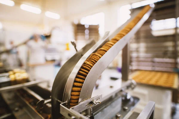 Cookies Productieproces Fabriek Voedingsindustrie — Stockfoto
