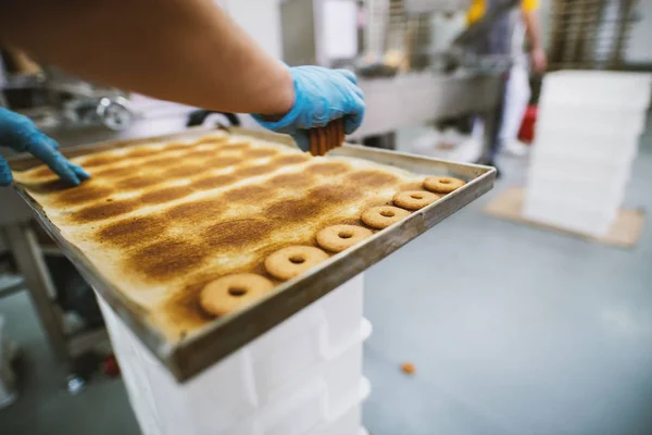 Processo Produção Cookies Fábrica Indústria Alimentos Mulher Luvas Tomando Biscoitos — Fotografia de Stock