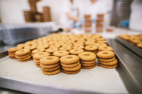 Processo Produção Cookies Fábrica Indústria Alimentos Muitos Biscoitos Bandeja — Fotografia de Stock