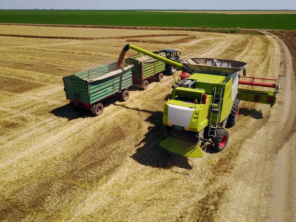 Combine Harvester Machines Working Wheat Field Aerial View — Stock Photo, Image