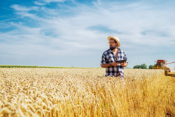Веселий Фермер Планшетним Стоїть Пшеничному Полі — стокове фото