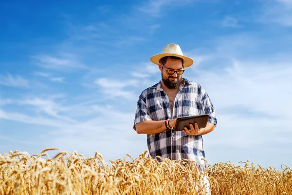 cheerful farmer with tablet pc standing at wheat field