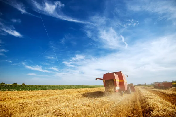 Mähdrescher Bei Der Arbeit Weizenfeld — Stockfoto