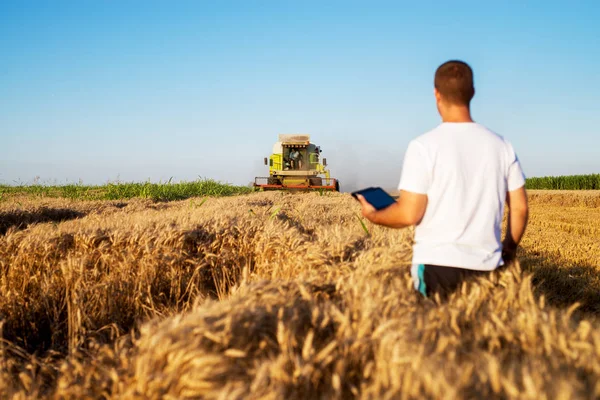 Agricultor Moderno Con Tableta Campo Trigo —  Fotos de Stock