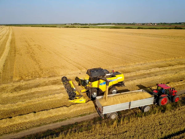 联合收割机在收获过程中与谷物一起浇筑拖拉机拖车 — 图库照片