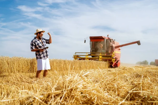 Современный Фермер Планшетом Пшеничном Поле Возле Комбайна — стоковое фото
