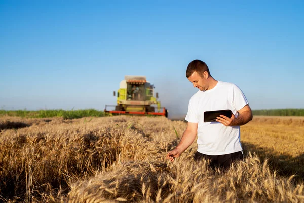 现代农民在麦田的平板电脑 — 图库照片