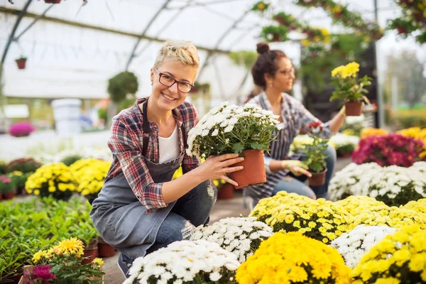 Dos Hermosas Jóvenes Jardineras Profesionales Trabajando Invernadero Moderno — Foto de Stock