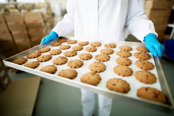 Kvinnlig Arbetstagare Håller Färska Bakade Cookies Vitplåt Produktion Matfabriken — Stockfoto