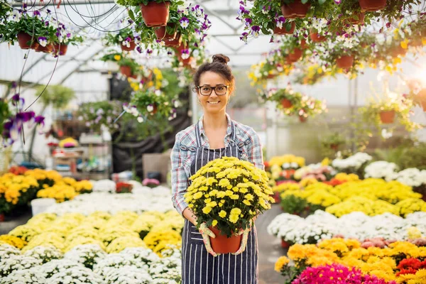 Mooie Jonge Vrouwelijke Professionele Tuinman Met Bloemen Poseren Moderne Kas — Stockfoto