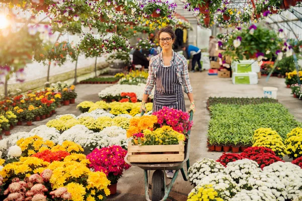 Красива Молода Жінка Професійний Садівник Позує Сучасній Теплиці — стокове фото