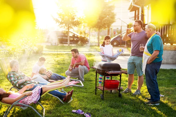 Familly Riunito Sta Facendo Picnic Brindando Parlando Grigliando Nel Loro — Foto Stock