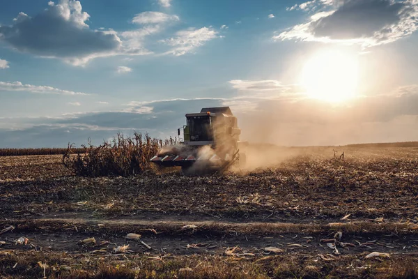 Picture Harvester Corn Field Harvesting Autumn Husbandry Concept — Stock Photo, Image