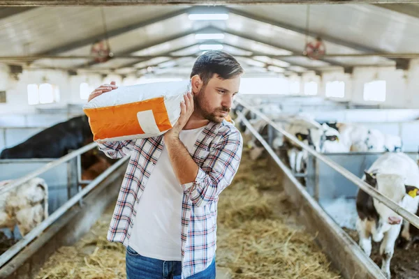 Guapo Granjero Caucásico Camisa Cuadros Jeans Llevando Saco Con Comida — Foto de Stock